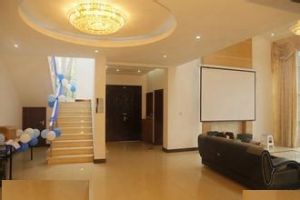 二十九派 二十九派