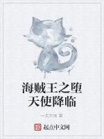 海賊王之墮天使降臨 海賊王之墮天使降臨