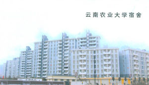 雲南農業大學
