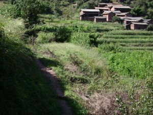大象母村 大象母村