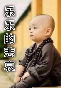 《樂樂的悲哀》 《樂樂的悲哀》