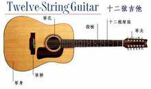 十二弦吉他結構圖