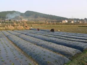 念土都村 念土都村