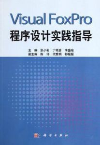 Visual FoxPro程式設計實踐指導