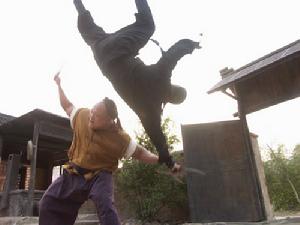 《黃飛鴻與十三姨》