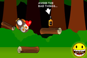 聰明的貓頭鷹 聰明的貓頭鷹