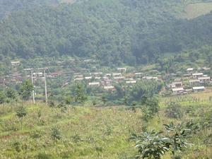 芒信新寨自然村 芒信新寨自然村