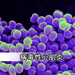 病毒性心肌炎