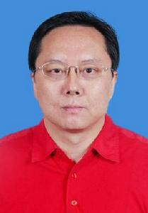 秦鵬[重慶大學法學院教授]