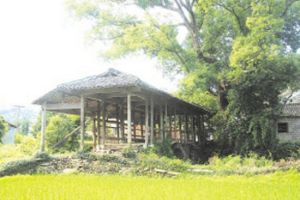 龍泉農業生態旅遊區 龍泉農業生態旅遊區