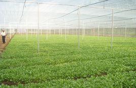 生態農業技術 生態農業技術