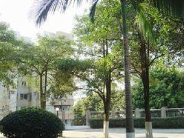 廣州南洋理工職業技術學院 廣州南洋理工職業技術學院