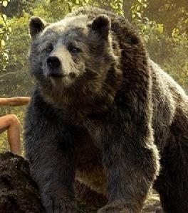 奇幻森林[2016年喬恩·費儒執導真人動畫電影]