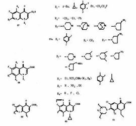 喹諾酮類藥 喹諾酮類藥