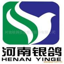 銀鴿投資 銀鴿投資