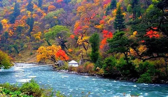 秋天那么美,我想去看看