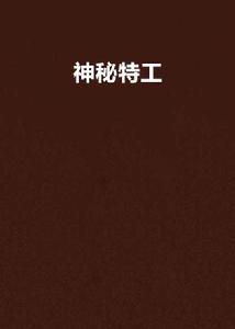 神秘特工 神秘特工