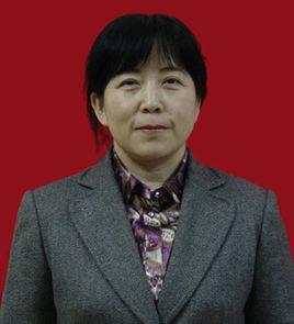 劉淑華[東北師範大學計算機學院教授]