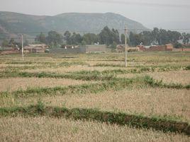 臥龍谷村 臥龍谷村