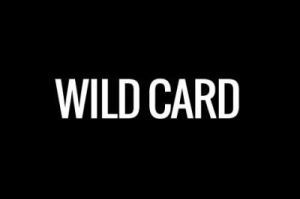 wildcard[名稱概念]