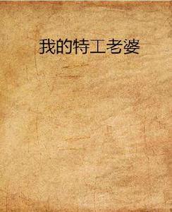 我的特工老婆 我的特工老婆