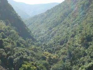 庫老自然村生態山林