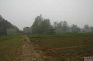 大報屋村 大報屋村