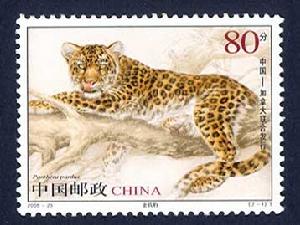 《金錢豹與美洲獅》特種郵票