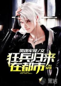 狂兵歸來在都市 狂兵歸來在都市