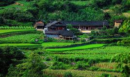 杜家坪村[湖南省張家界市桑植縣官地坪鎮下轄村]