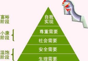 五層次管理模型