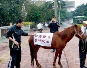 （圖）一位重慶網友牽著一匹馬上街，馬身上的條幅寫著：“公交漲價 寶馬代步。”