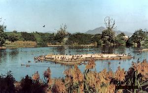 米埔濕地 米埔濕地