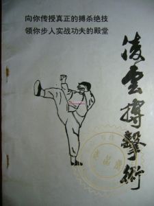 《凌雲搏擊術》 《凌雲搏擊術》