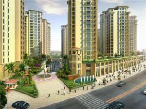 金岸提香 金岸提香