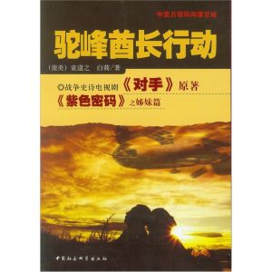 《駝峰酋長行動》 《駝峰酋長行動》