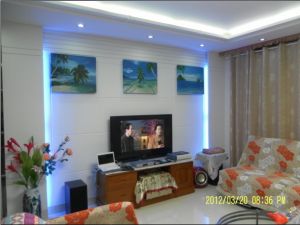 平板壁畫音箱 平板壁畫音箱