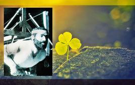 李林達爾 李林達爾