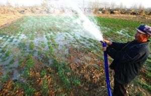 後車蘭泊村 後車蘭泊村