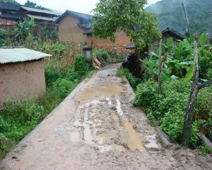 楊家田自然村 楊家田自然村