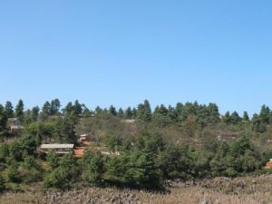 冬瓜沖村 冬瓜沖村