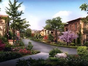 大青山國際 大青山國際