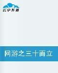 網遊之三十而立 網遊之三十而立