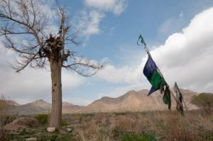 庫納爾省 庫納爾省