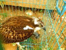 西山鎮[江蘇省蘇州市吳中區西山鎮]