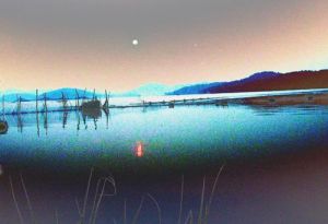 侯清紹攝影作品