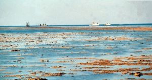 原始永暑礁——低潮時部分礁石出水