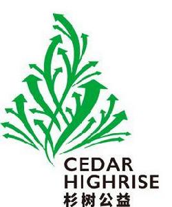 上海杉樹公益基金會 上海杉樹公益基金會