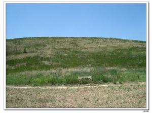 （圖）呂后陵正面