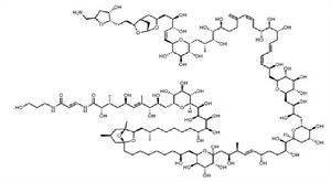 岩沙海葵毒素 岩沙海葵毒素